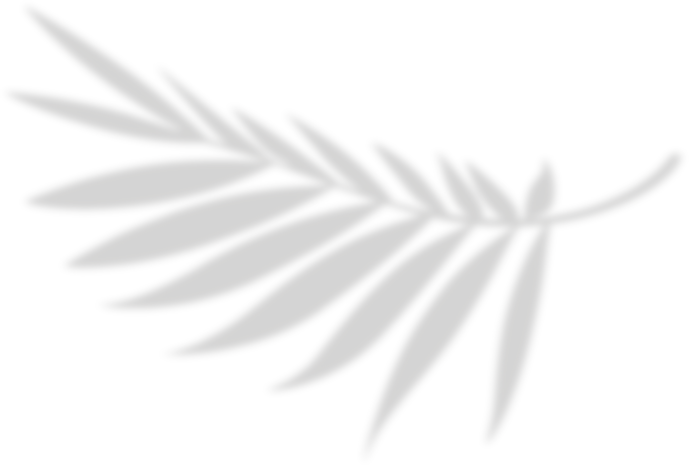 leaf background